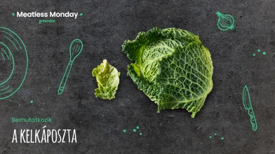 Meatless Monday: kelkáposzta, kell ez nekünk?