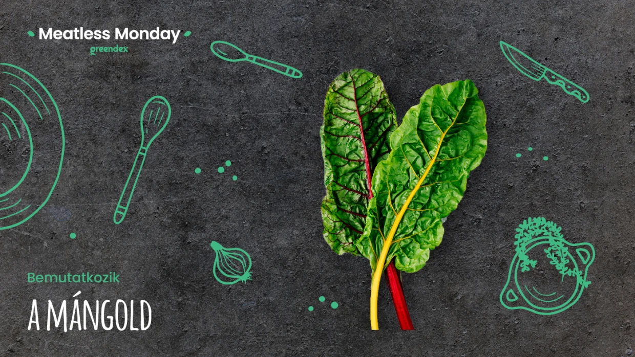 Meatless Monday: egy kevésbé ismert finomság, a mángold