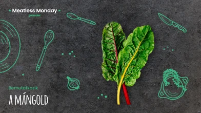 Meatless Monday: egy kevésbé ismert finomság, a mángold
