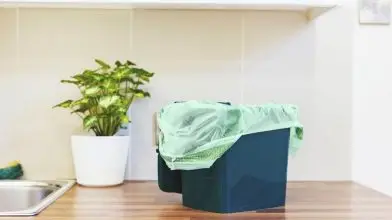 Vigyázó szemetek a komposztálható műanyagra vessétek!