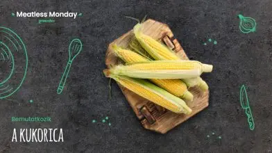 Meatless Monday: a csemegekukorica nemcsak a strandon jó!