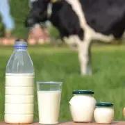 A tehén tőgyén innen, a műanyagmentességen túl