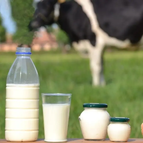 A tehén tőgyén innen, a műanyagmentességen túl