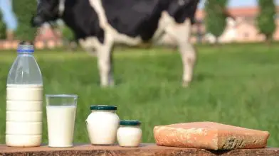 A tehén tőgyén innen, a műanyagmentességen túl