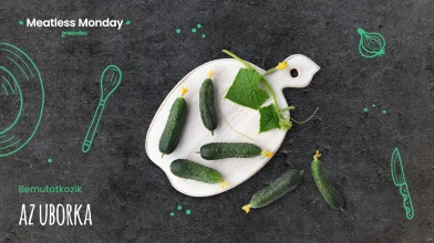 Meatless Monday: miért szeretjük az uborkát?