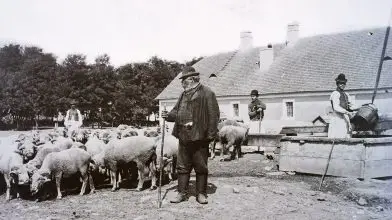 Népi bölcsességek, hiedelmek, időjárási megfigyelések – Nyár
