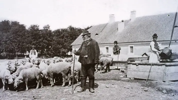 Népi bölcsességek, hiedelmek, időjárási megfigyelések – Nyár