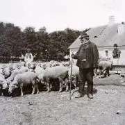 Népi bölcsességek, hiedelmek, időjárási megfigyelések – Nyár