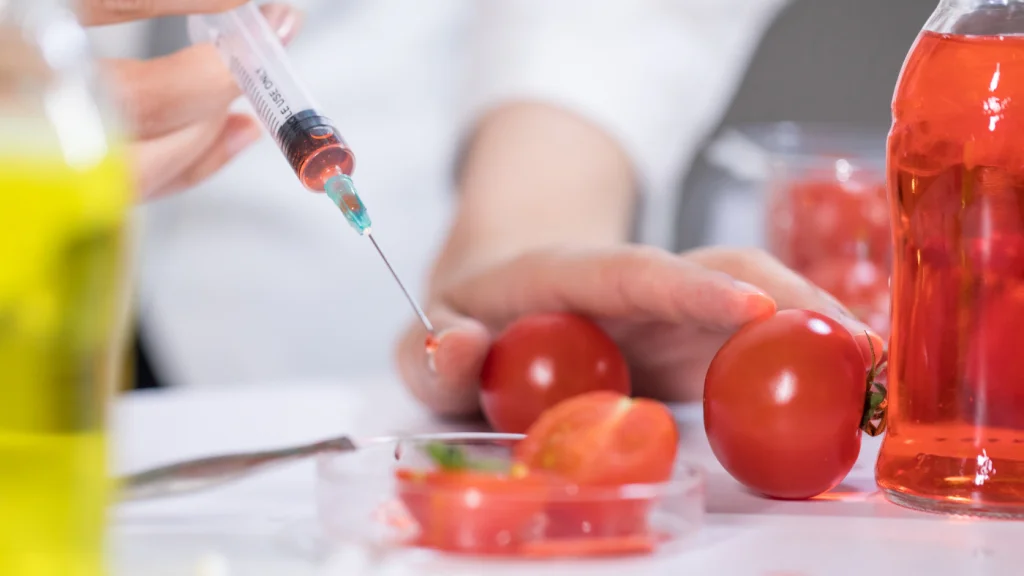 paradicsom gmo injekciós tű üveg
