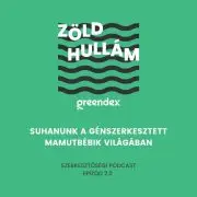 E-rollerrel suhanunk a génszerkesztett mamutbébik világában