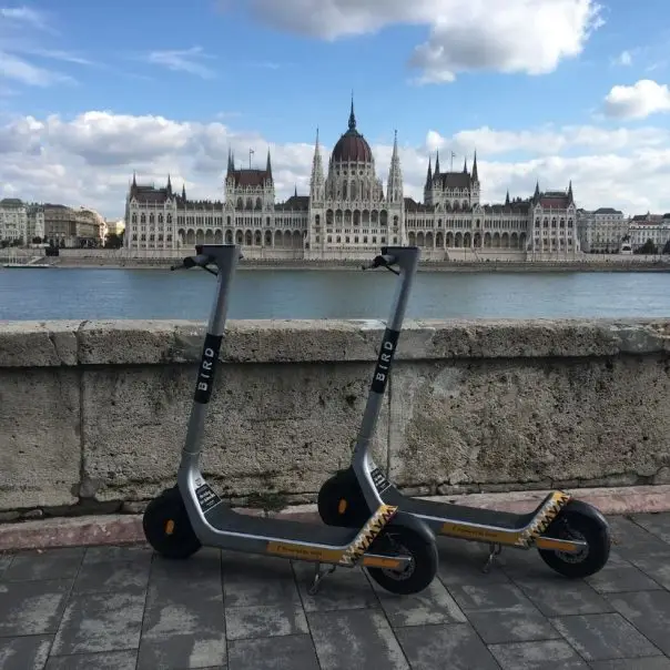 Bird roller Budapesten