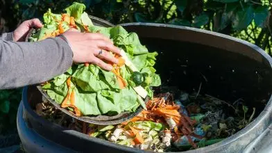 Sharewaste, a komposztálóapplikáció