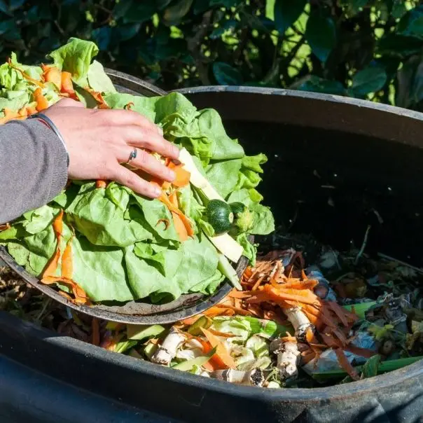 Sharewaste, a komposztálóapplikáció