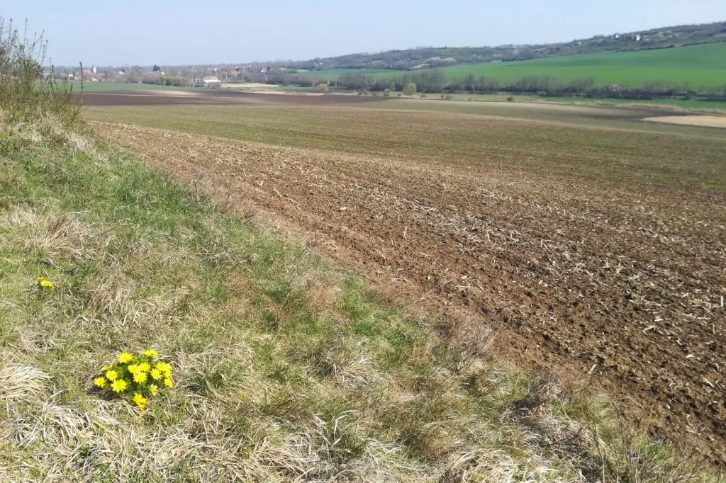 land-sparing mezőgazdaság termelés