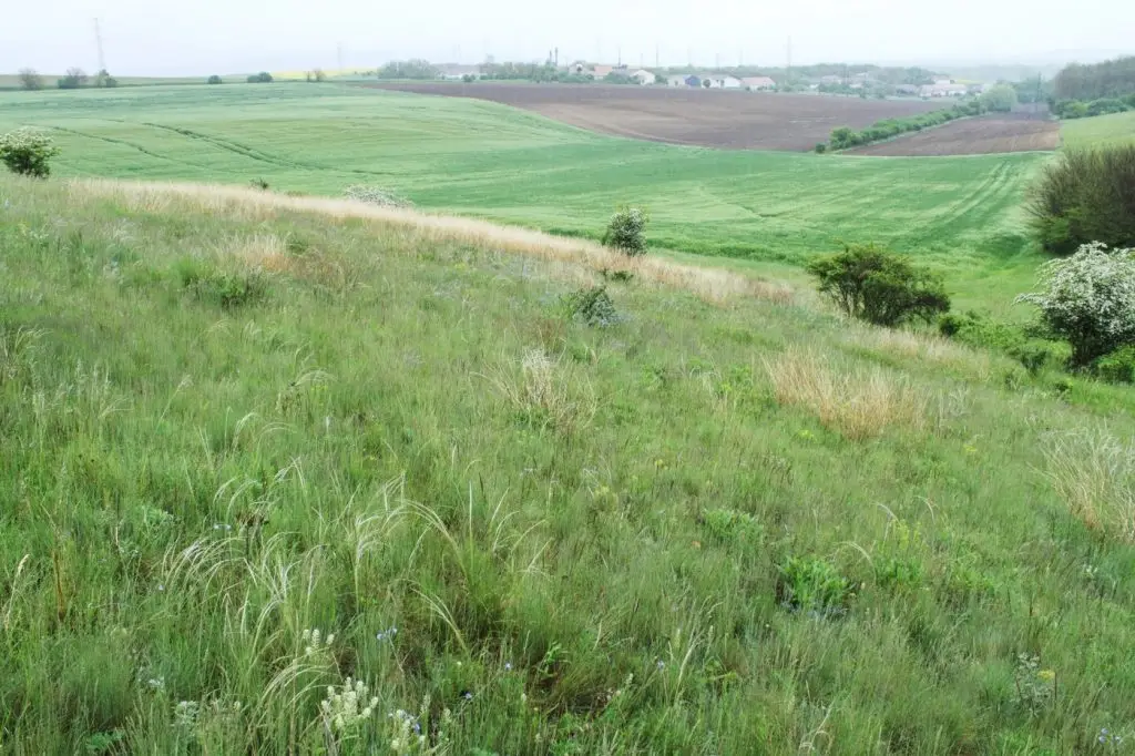 land-sparing mezőgazdaság teremlés