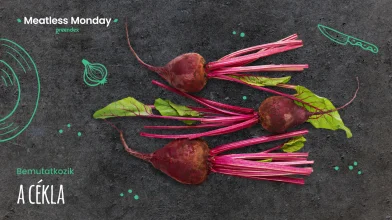 Meatless Monday: a cékla feldobja a konyhatudományod!