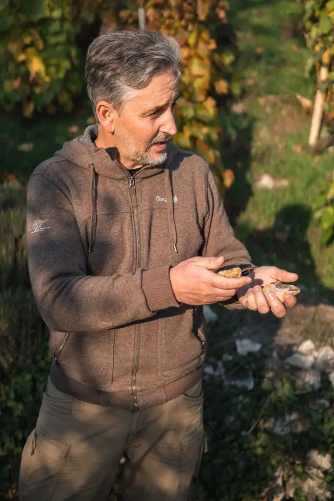 Egly Márk, ásványos talaj