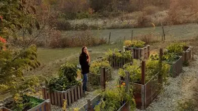 November: a magaságyás-építés hónapja – interjú Skultéti Bernadettel, a MÁS Kert vezetőjével
