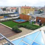 Természetalapú megoldások a városban
