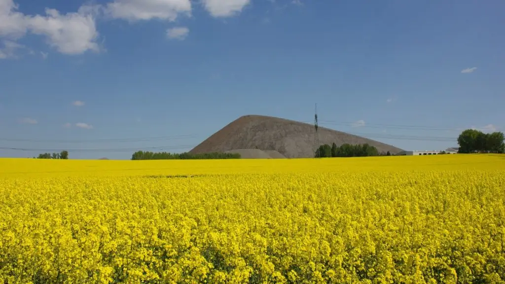 agrobányászat