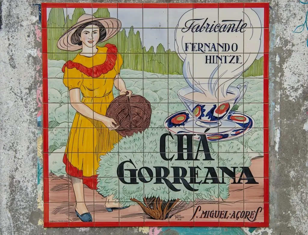 tea-cégér