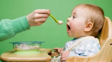 Hozzátáplálás fenntarthatóan
