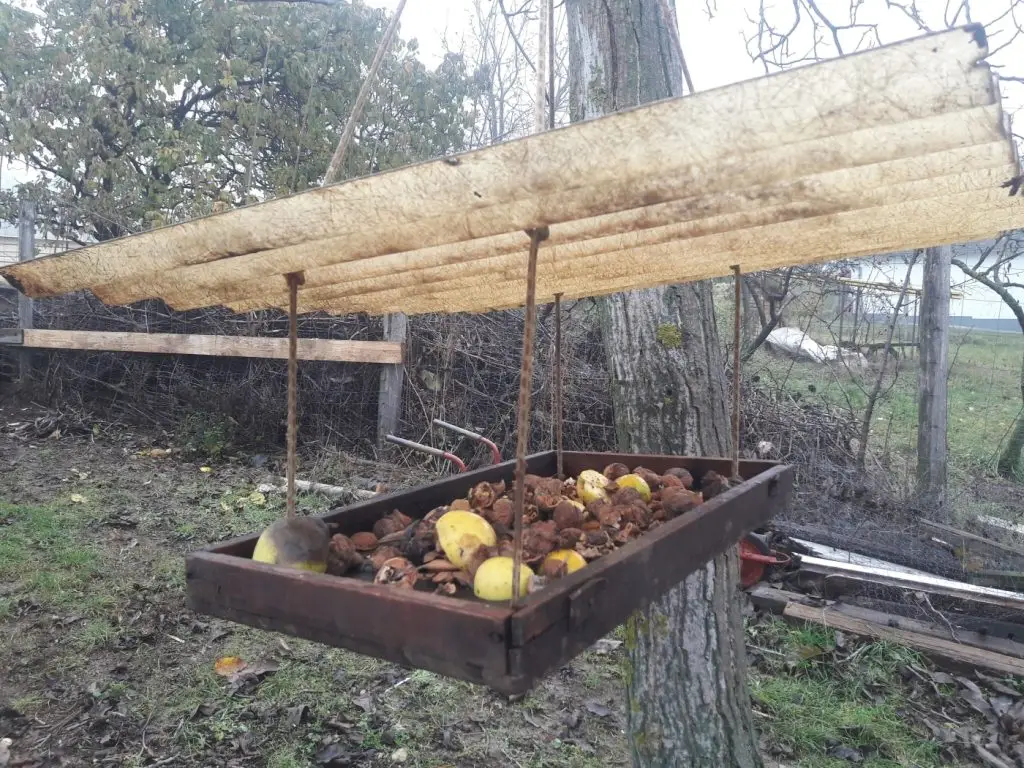 madáretető házilag