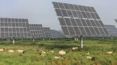 Történelmi jelentőségű év lehet 2022 a klímaügy szempontjából