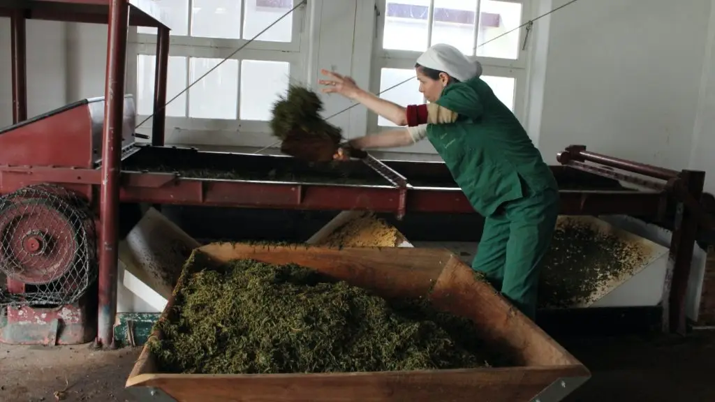 teaüzem