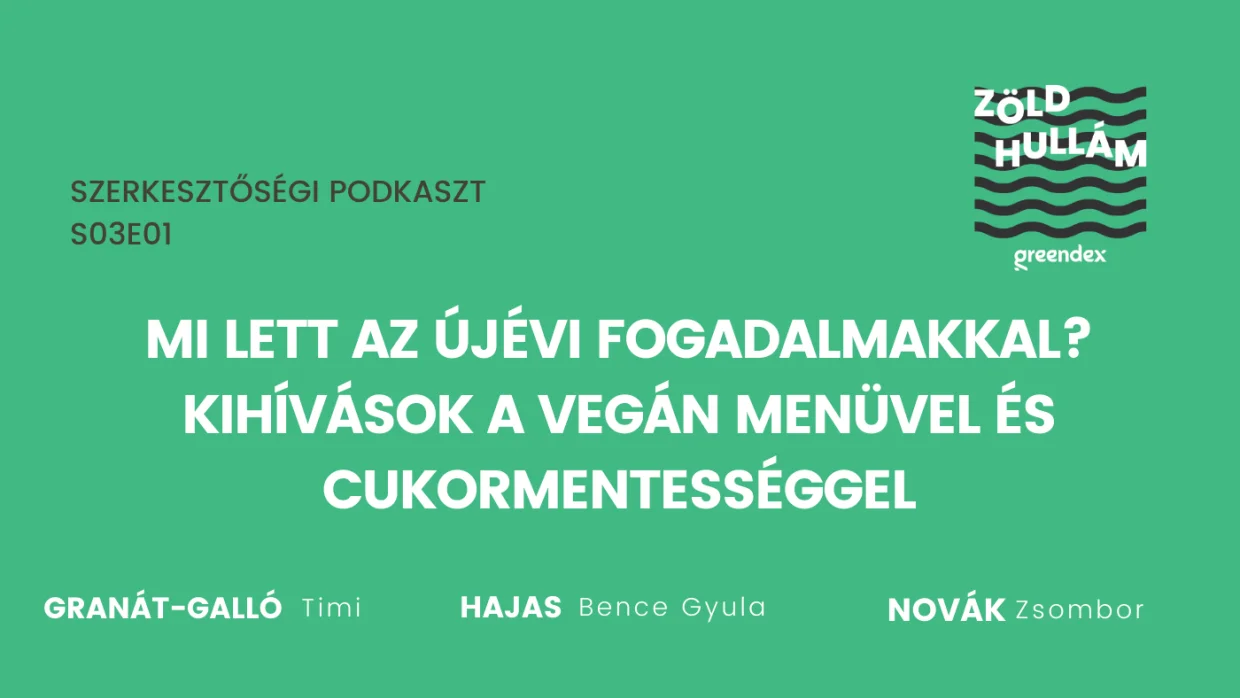 Mi lett az újévi fogadalmakkal? A vegán és a cukormentes táplálkozás kihívásai – Podcast
