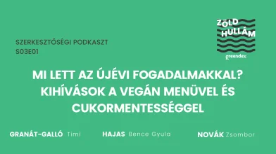 Mi lett az újévi fogadalmakkal? A vegán és a cukormentes táplálkozás kihívásai – Podcast