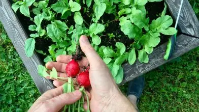 Magaságyás – 2. rész: Előkészítés és elővetemény lépésről lépésre