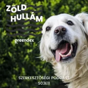 A felelős állattartás első lépése az örökbefogadás – Podkaszt