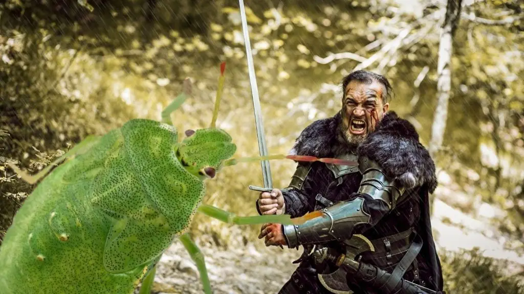 csata a polos ellen