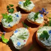 Lakjunk jól gyomnövényekkel! – Interjú Greens of Daisy-vel