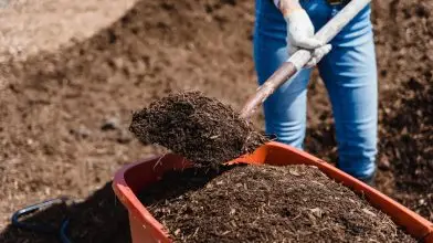 A nap- és a szélenergiát is verheti ez a technológia a klímabarátságban
