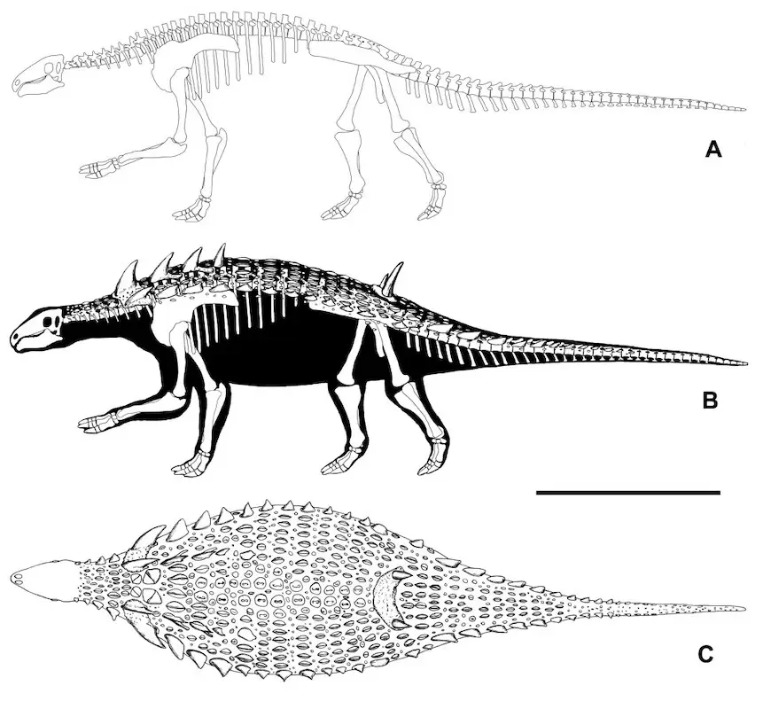 Hungarosaurus