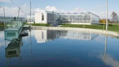 Harcban a csatornaszörnyek ellen – Holnapután