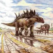 A Hungarosaurus nyomában: ásatás a magyar dinoszaurusz-lelőhelyen