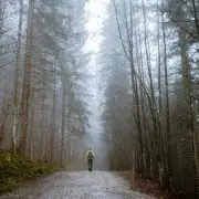 Csodát tesz az agyunkkal az erdei séta – most már kutatás is bizonyítja