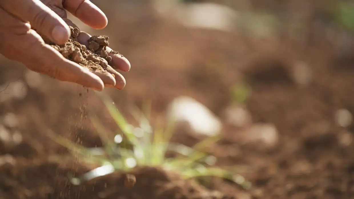 No-till – Mit tegyünk a termőtalajért?