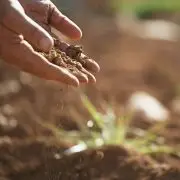 No-till – Mit tegyünk a termőtalajért?