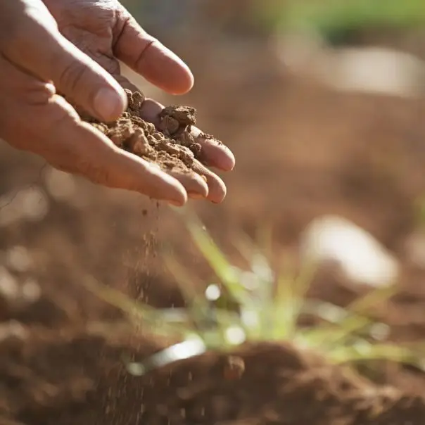 No-till – Mit tegyünk a termőtalajért?