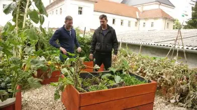 Szüretelj ősszel is a magaságyásodról  – Jövő idő