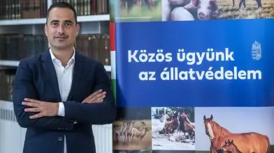 Még idén megkapják a pénzt az állatvédő civil szervezetek