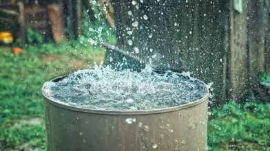 Maradt locsolni való esővized télire? Akkor ezt ne feledd!