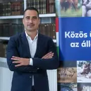 Még idén megkapják a pénzt az állatvédő civil szervezetek