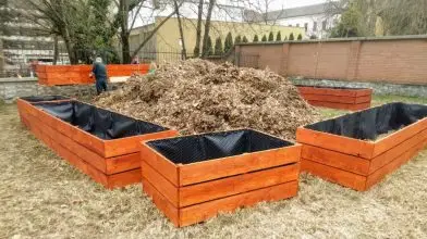 Így hasznosítsuk az avart a kertünkben!