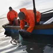 Hová lesznek télen a halaink?
