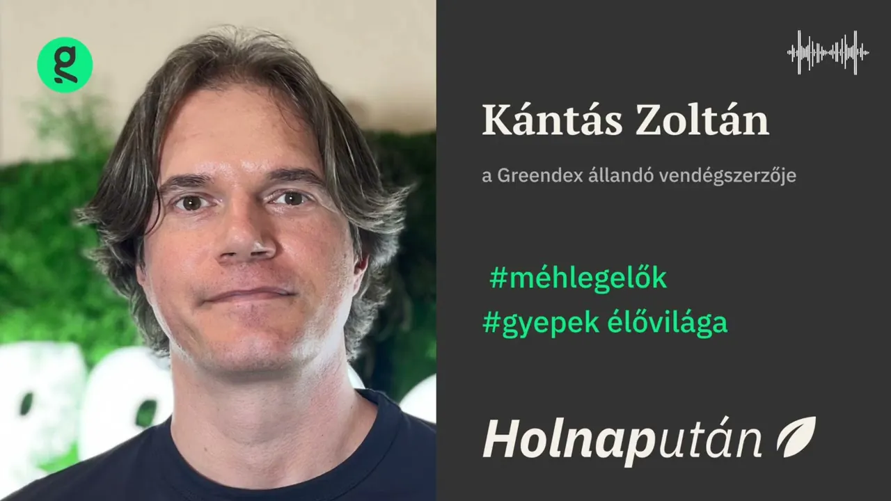 A méhlegelő nem csak a méhekről szól | Holnapután